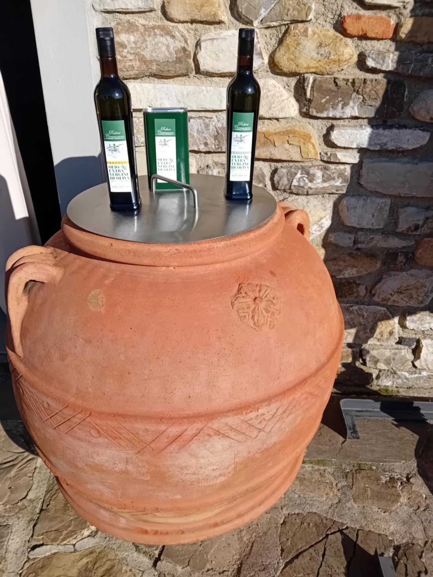Séjour à la ferme Agriturismo Circugnano
